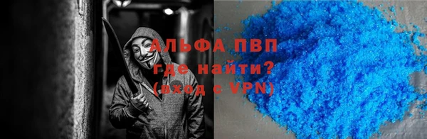 гидра Богородицк