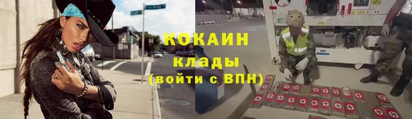 гидра Богородицк