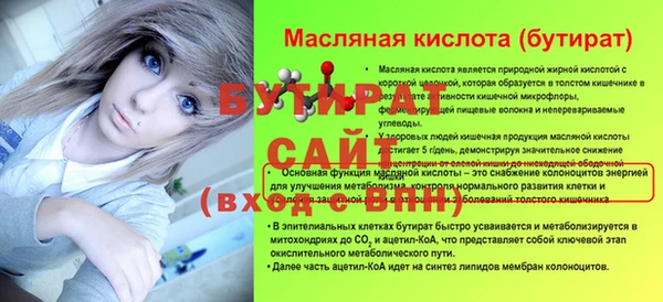 гидра Богородицк