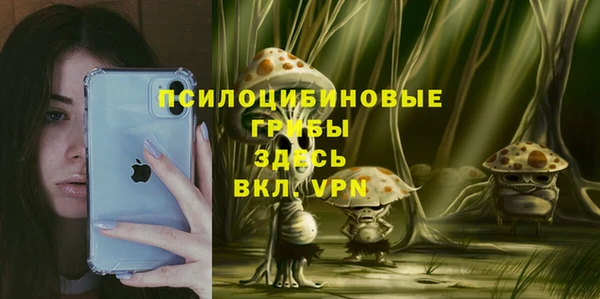 кокаин перу Богданович
