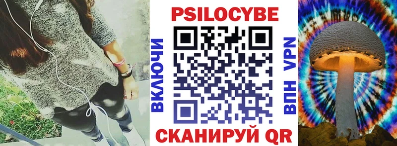 Псилоцибиновые грибы Psilocybine cubensis  купить наркотик  Городовиковск 